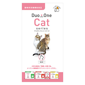 Duo One Cat Tasty（デュオワンキャットテイスティ）飼い主用パンフレット